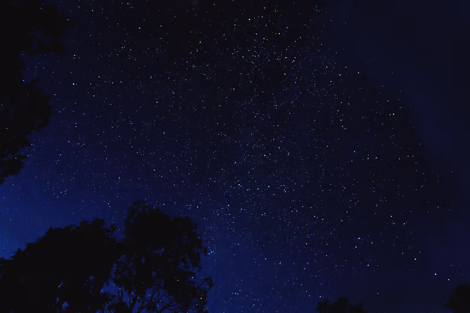 Pixabay Star Gazing